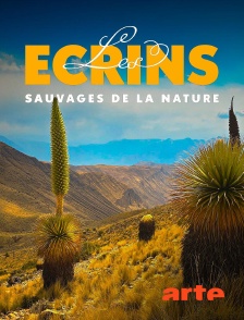 Arte - Les écrins sauvages de la nature