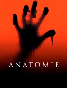 Anatomie
