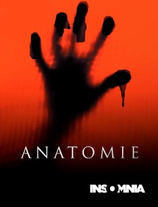 INSOMNIA - Anatomie