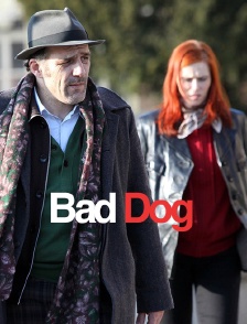Bad Dog