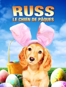 Russ, le chien de Pâques
