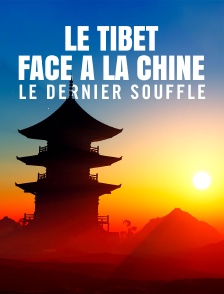 Le Tibet face à la Chine, le dernier souffle ?