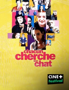 CINE+ Festival - Chacun cherche son chat