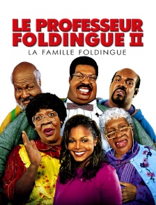 Le professeur Foldingue 2 : La famille Foldingue