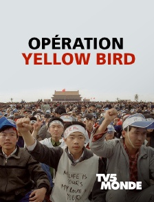 TV5MONDE - Opération Yellow Bird