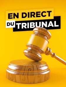 Test Mediatailor - En direct du tribunal