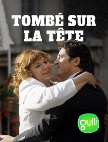 Gulli - Tombé sur la tête