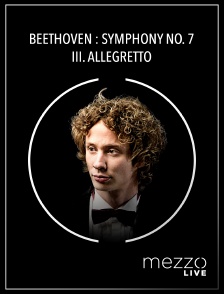 Beethoven : Symphony No. 7 - III. Allegretto