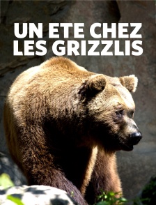 Un été chez les grizzlis