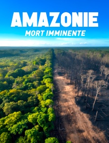 Amazonie, mort imminente