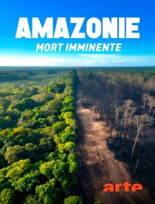 Arte - Amazonie, mort imminente