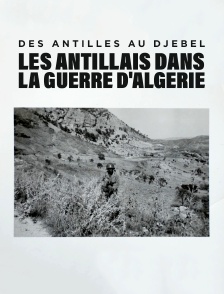 Des Antilles au djebel : les Antillais dans la guerre d'Algérie