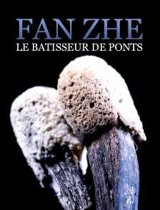Fan Zhe, Le Batisseur De Ponts
