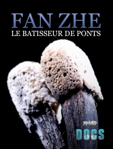 Fan Zhe, Le Batisseur De Ponts