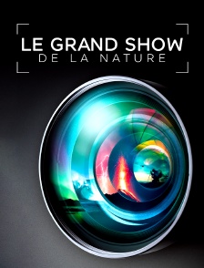Le grand show de la nature