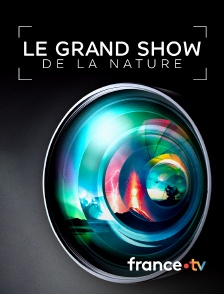 france.tv - Le grand show de la nature