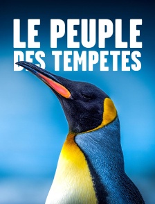Le peuple des tempêtes