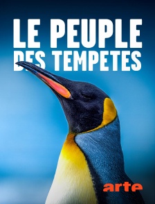 Arte - Le peuple des tempêtes