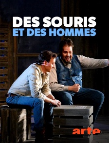 Arte - Des souris et des hommes