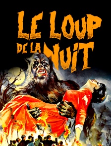 Le loup de la nuit