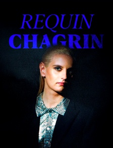 Requin Chagrin