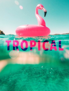 Tropical