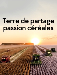 Terre de partage, passion céréales