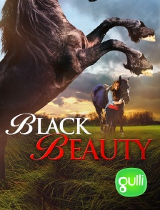 Gulli - Black Beauty