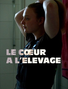 Le coeur à l'élevage