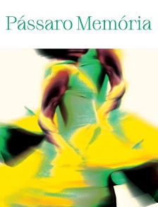 Pássaro Memória