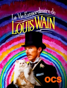 LA VIE EXTRAORDINAIRE DE LOUIS WAIN