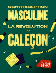 Public Sénat - Contraception masculine : la révolution du caleçon