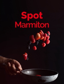Spot Marmiton