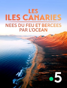 Les Iles Canaries, nées du feu et bercées par l'océan