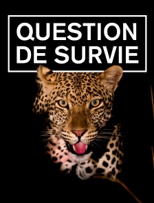 Question de survie *2016