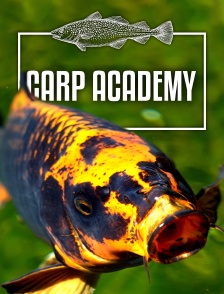 Carp Academy