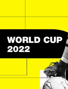World Cup 2022