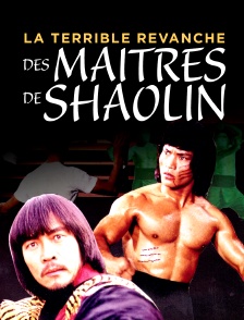 La terrible revanche des maitres de Shaolin