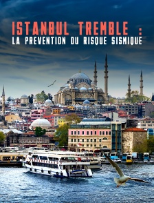 Istanbul tremble : La prévention du risque sismique