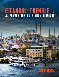 Istanbul tremble : La prévention du risque sismique