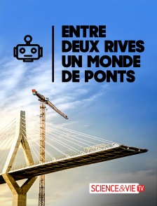 Science et Vie TV - Entre deux rives : un monde de ponts