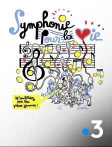 France 3 - Symphonie pour la vie, spécial pièces jaunes