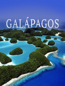 Les Galápagos : Un paradis secret