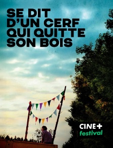 CINE+ Festival - Se dit d'un cerf qui quitte son bois