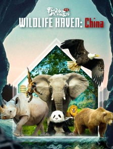 Wildlife Haven: China