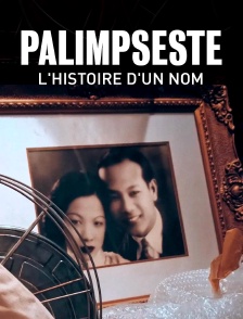 Palimpseste : l'histoire d'un nom