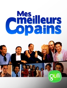 Gulli - Mes meilleurs copains