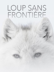 Loup sans frontière