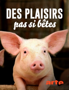 Arte - Des plaisirs pas si bêtes