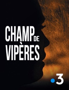 Champ de vipères